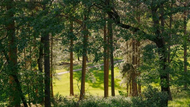 17082 Alioto Dr, Grass Valley, CA 95949