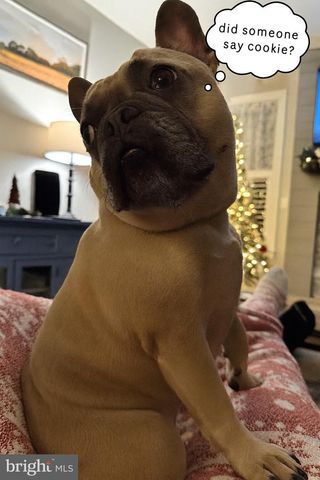 608 SUNSET BLVD, Annville, PA 17003