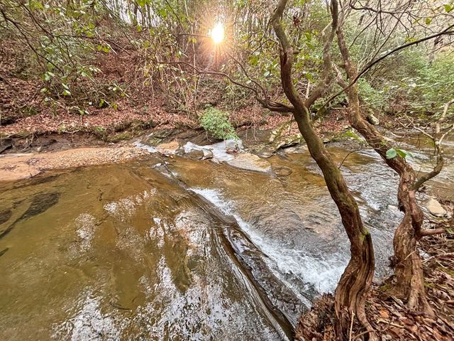 5AC Lovejoy Lane, Talking Rock, GA 30175