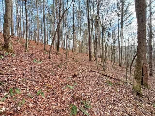 5AC Lovejoy Lane, Talking Rock, GA 30175