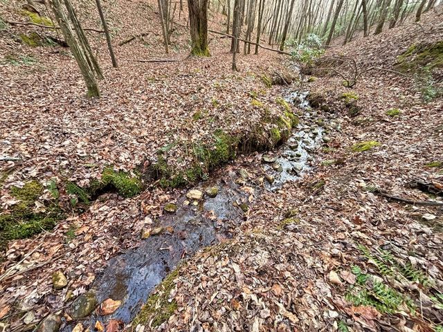 5AC Lovejoy Lane, Talking Rock, GA 30175