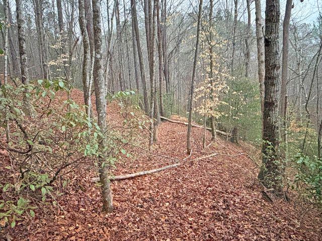 5AC Lovejoy Lane, Talking Rock, GA 30175