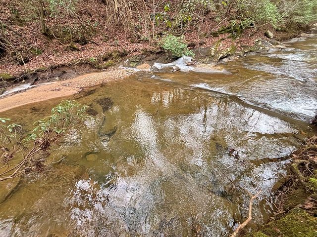 5AC Lovejoy Lane, Talking Rock, GA 30175