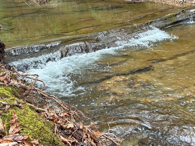 5AC Lovejoy Lane, Talking Rock, GA 30175