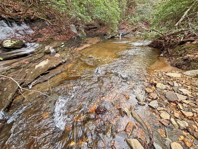 5AC Lovejoy Lane, Talking Rock, GA 30175