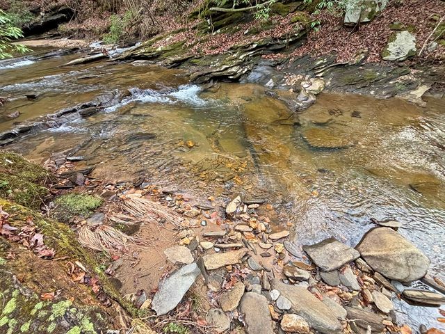 5AC Lovejoy Lane, Talking Rock, GA 30175