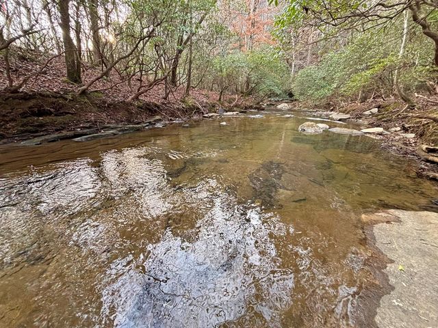 5AC Lovejoy Lane, Talking Rock, GA 30175