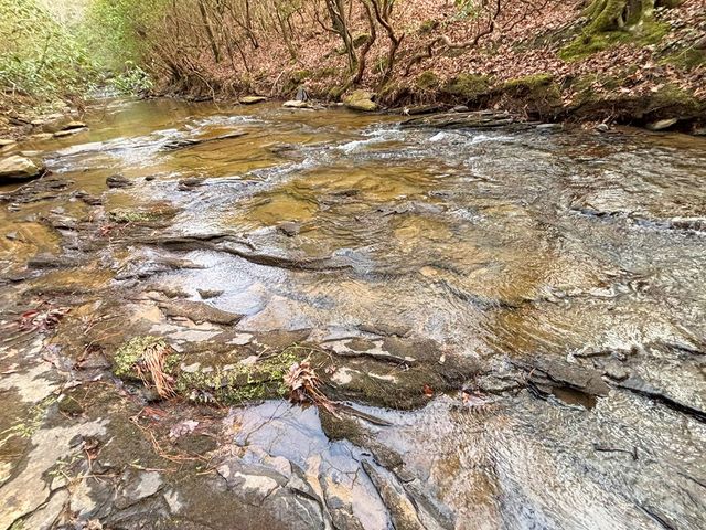 5AC Lovejoy Lane, Talking Rock, GA 30175