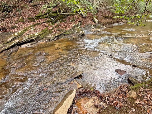 5AC Lovejoy Lane, Talking Rock, GA 30175