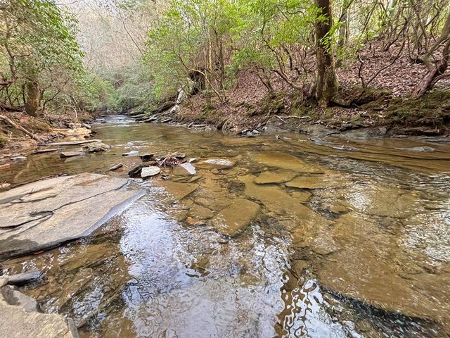 5AC Lovejoy Lane, Talking Rock, GA 30175