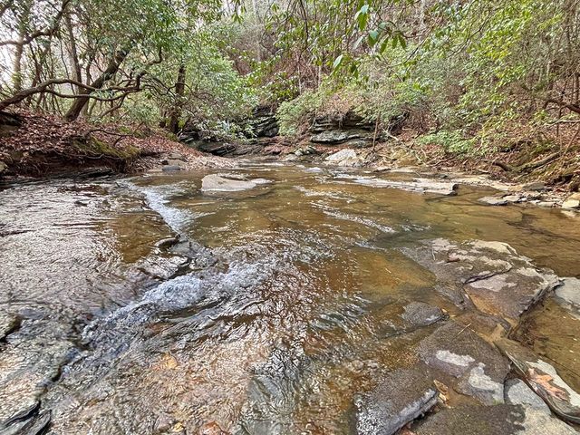 5AC Lovejoy Lane, Talking Rock, GA 30175