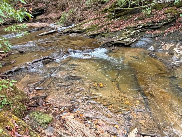 5AC Lovejoy Lane, Talking Rock, GA 30175