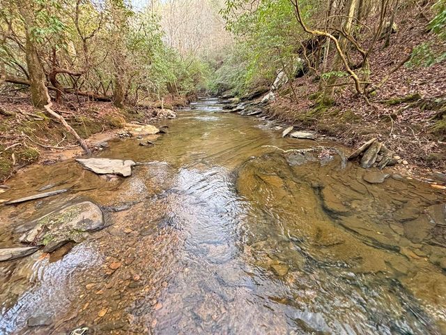 5AC Lovejoy Lane, Talking Rock, GA 30175