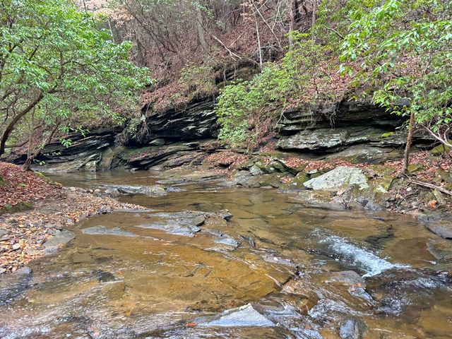 5AC Lovejoy Lane, Talking Rock, GA 30175