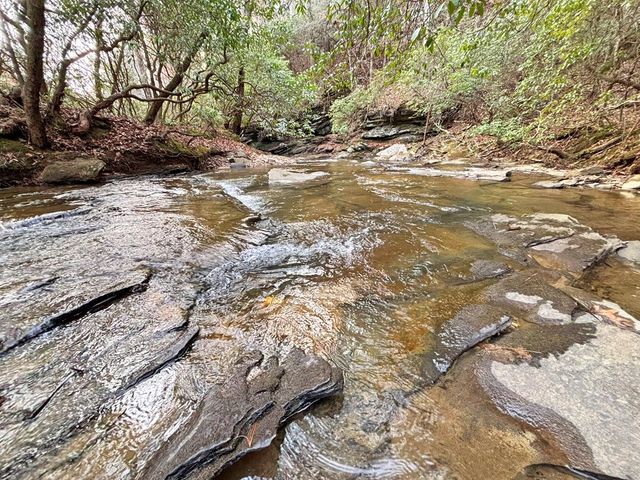 5AC Lovejoy Lane, Talking Rock, GA 30175