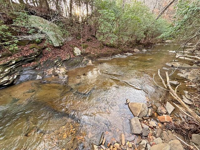 5AC Lovejoy Lane, Talking Rock, GA 30175