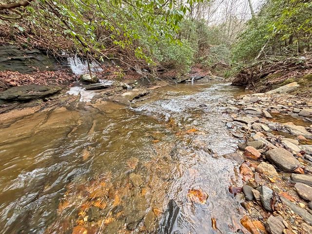 5AC Lovejoy Lane, Talking Rock, GA 30175