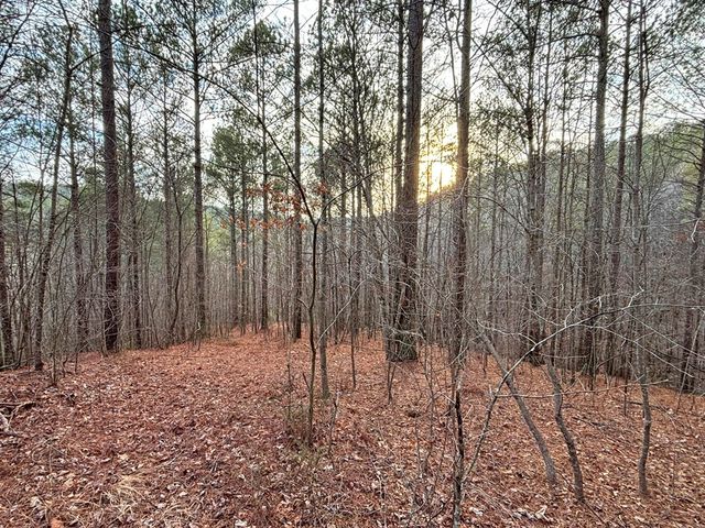 5AC Lovejoy Lane, Talking Rock, GA 30175