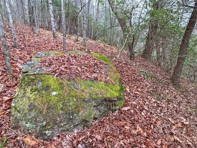 5AC Lovejoy Lane, Talking Rock, GA 30175