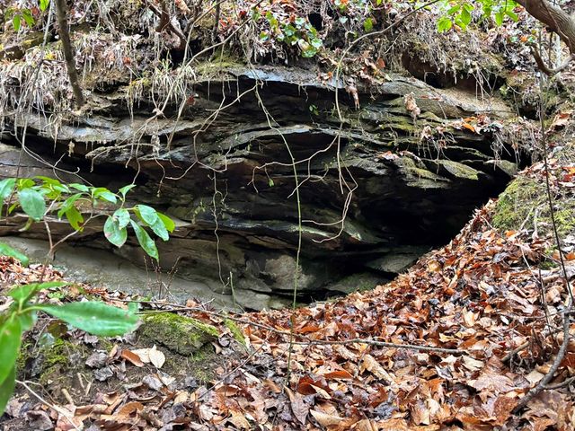 5AC Lovejoy Lane, Talking Rock, GA 30175