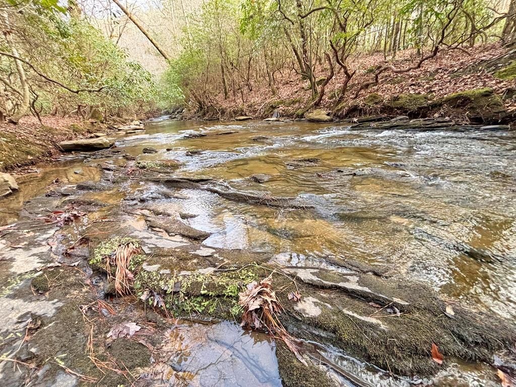 5AC Lovejoy Lane, Talking Rock, GA 30175