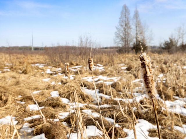 8979 Parkview Circle, Chisago City, MN 55013