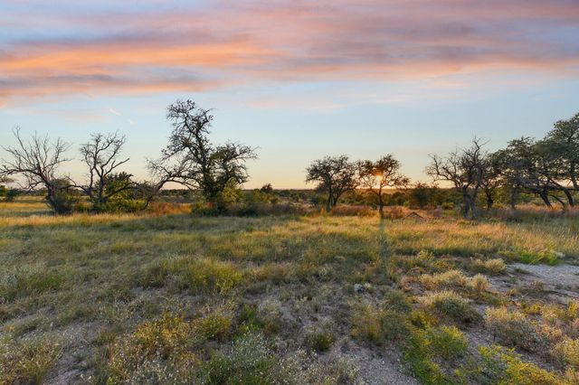 100 W Leaning Madrone DR, Johnson City, TX 78636