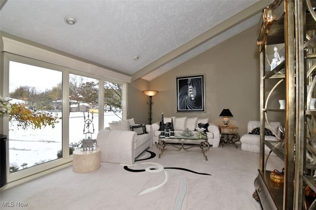 5123 Cheswick Drive, Solon, OH 44139