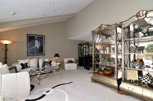 5123 Cheswick Drive, Solon, OH 44139