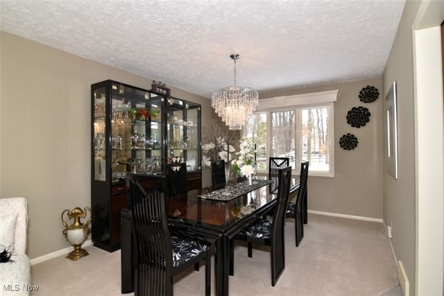 5123 Cheswick Drive, Solon, OH 44139