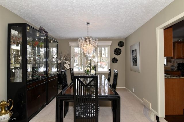 5123 Cheswick Drive, Solon, OH 44139