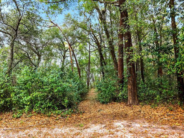 336 Virginia Avenue, Valparaiso, FL 32580