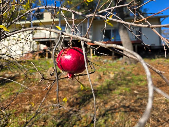 6540 Serendipity Ln, Placerville, CA 95667