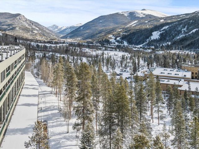 22097 Saints John Rd 2540, Dillon, CO 80435