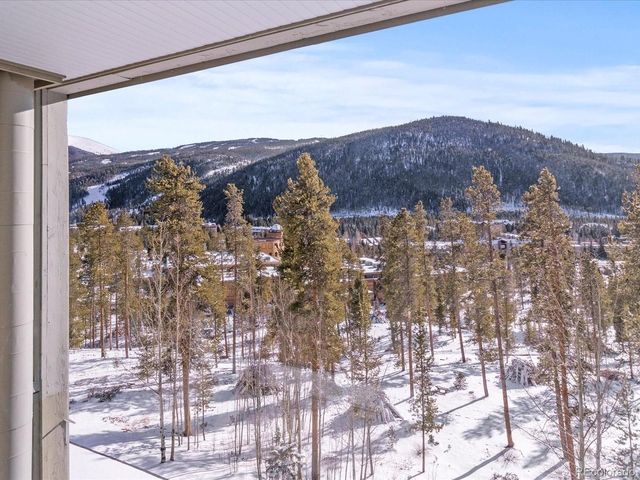 22097 Saints John Rd 2540, Dillon, CO 80435