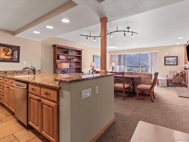 22097 Saints John Rd 2540, Dillon, CO 80435