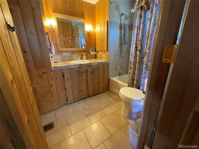 506 E 9th St, Leadville, CO 80461