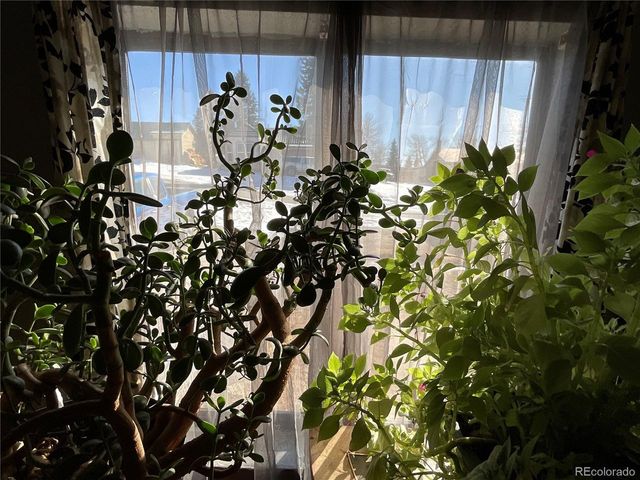 506 E 9th St, Leadville, CO 80461