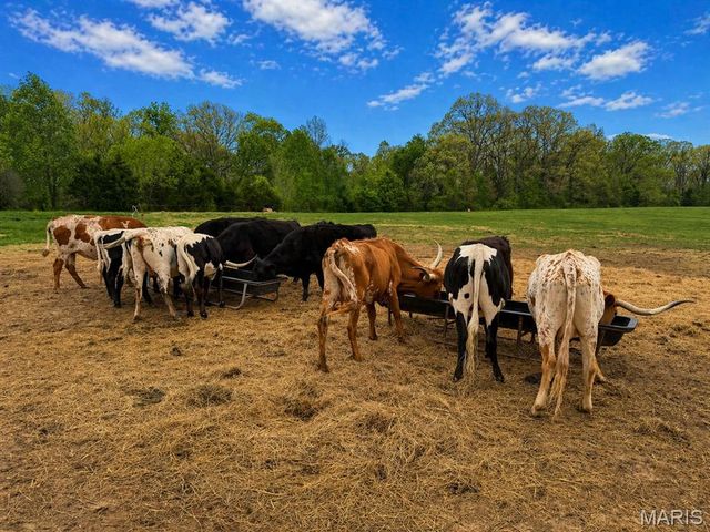 7816 Rye Creek Road, Lonedell, MO 63060