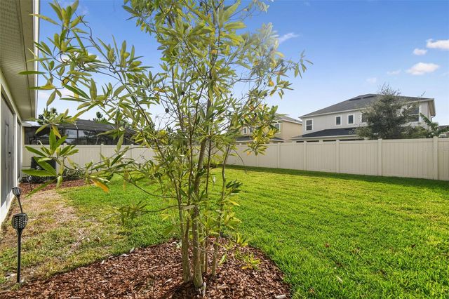 13676 STANSIL AVENUE, Odessa, FL 33556