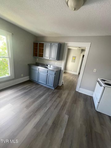 305 Montgomery Street, Johnson City, TN 37604