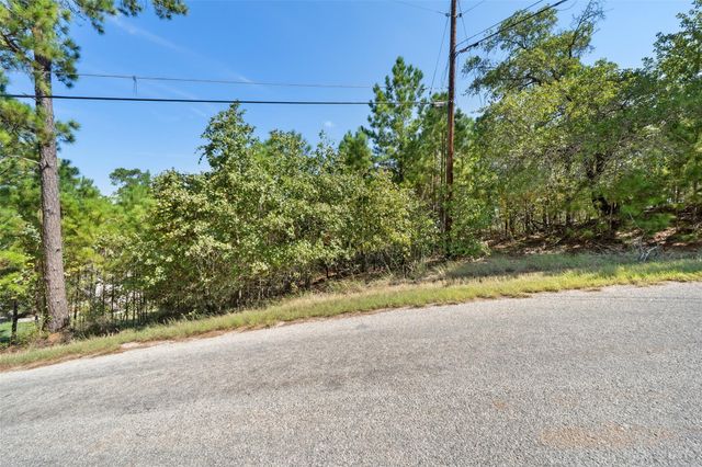 TBD Mamalu DR, Bastrop, TX 78602