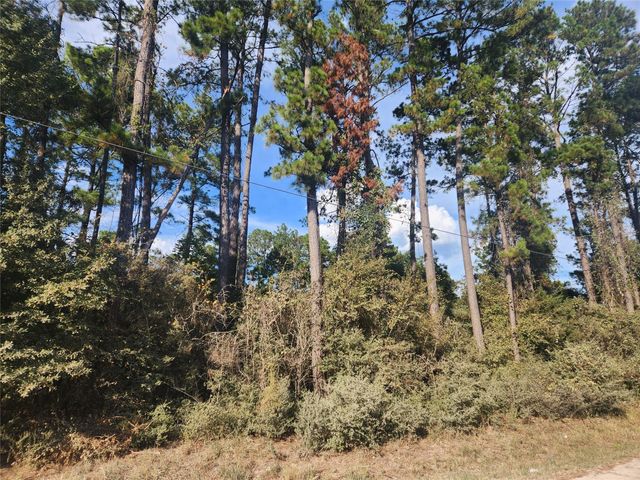Lot 718 Weeping Willow Lane, Plantersville, TX 77363