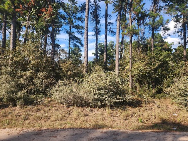 Lot 718 Weeping Willow Lane, Plantersville, TX 77363