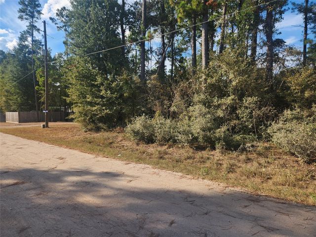 Lot 718 Weeping Willow Lane, Plantersville, TX 77363