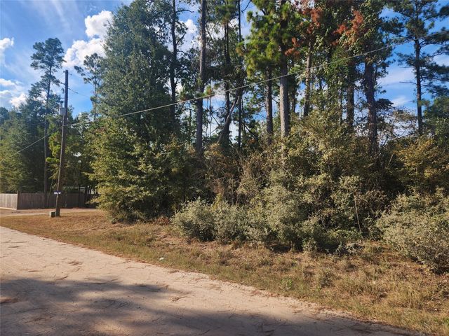 Lot 718 Weeping Willow Lane, Plantersville, TX 77363