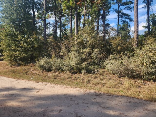 Lot 718 Weeping Willow Lane, Plantersville, TX 77363