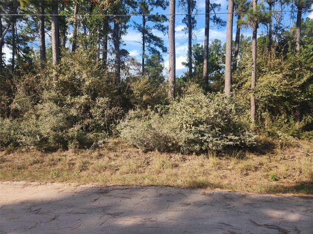 Lot 718 Weeping Willow Lane, Plantersville, TX 77363