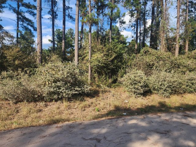 Lot 718 Weeping Willow Lane, Plantersville, TX 77363