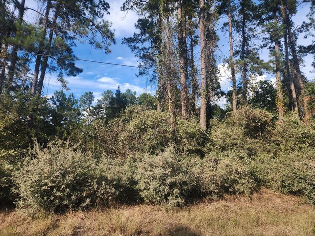 Lot 718 Weeping Willow Lane, Plantersville, TX 77363